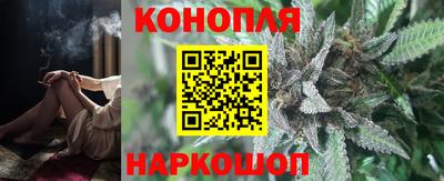 гашик Жуковский