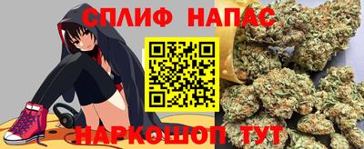 гашик Жуковский