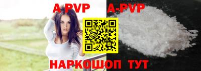 гашик Жуковский
