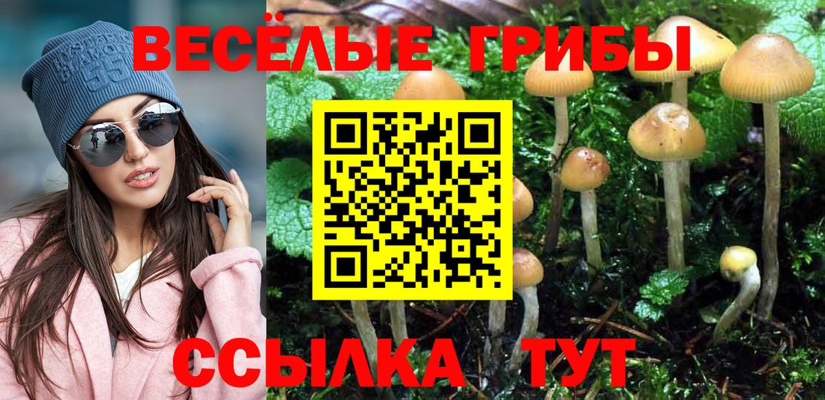 Галлюциногенные грибы Cubensis  Вход с VPN  Магадан 